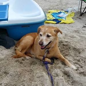 Meet your Posher, Diane